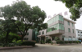 2010年成立江苏金沙贵宾会线路中心集团有限公司；